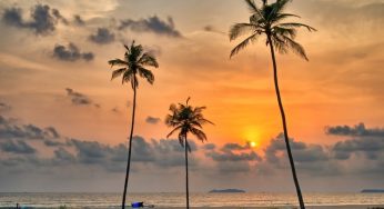 Goa Trip: Best Beaches In Goa