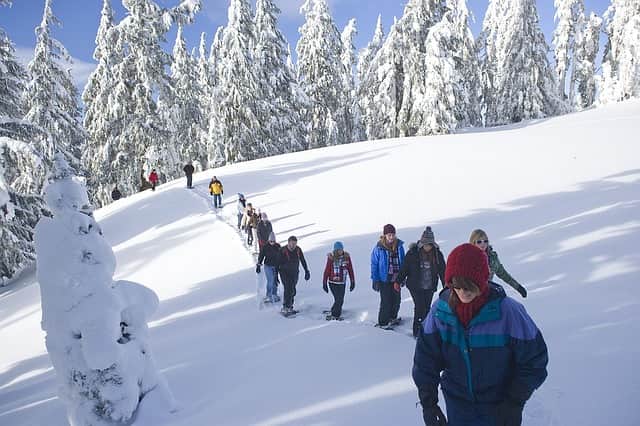 Trekking In Manali