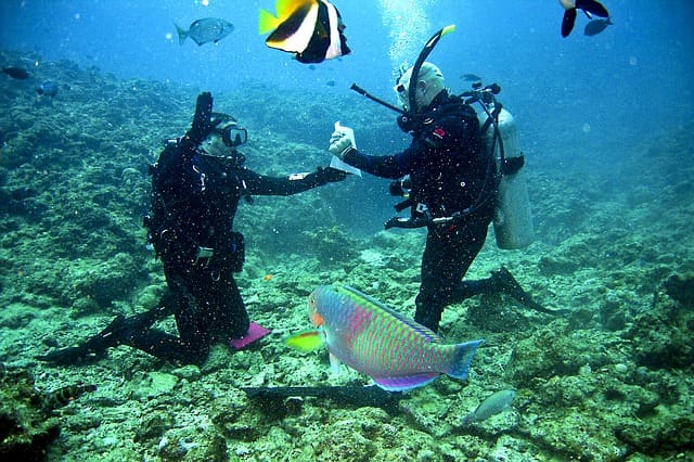 Scuba Diving In India Lakshadweep