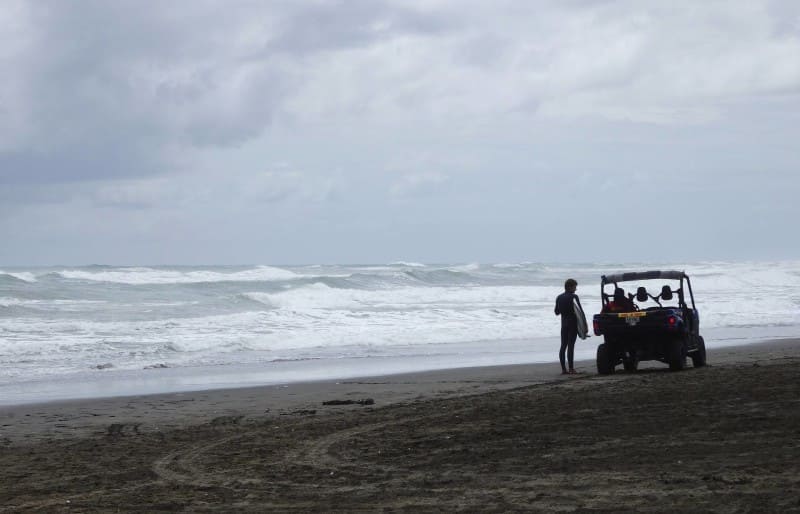 Black Sand Beach New Zealand North Island : Muriwai Beach