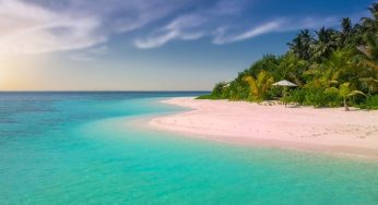 Goa Trip: Best Tourist Places To Visit In Goa