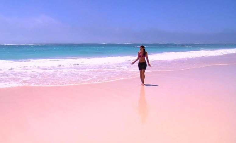 Horseshoe Bay Bermuda Pink Sand