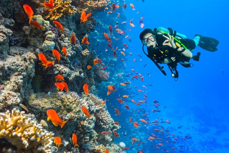 Scuba Diving In India: Scuba Diving In India Price