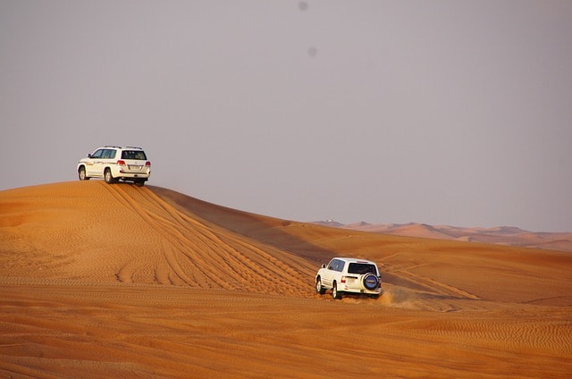 Jeep Safari In Bikaner Desert Tour