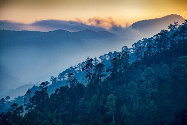 Explore Ranikhet Tourism: Places To Visit In Ranikhet Uttarakhand