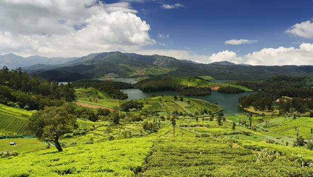 Ooty Tourist Place: Places To Visit In Ooty Tourism
