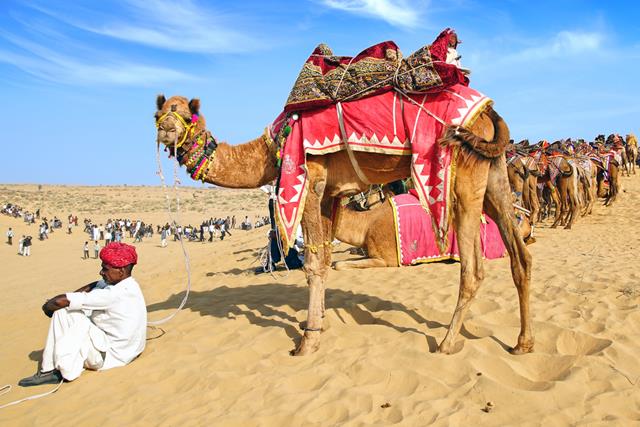 Bikaner Camel Safari