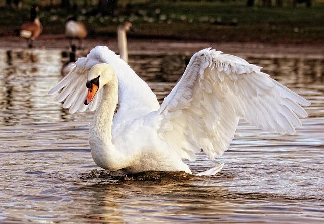 Places To Visit In Hyderabad City: KBR National Park