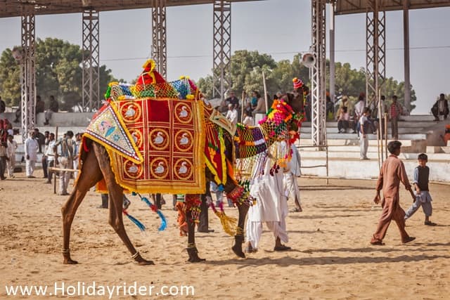 Places To Visit In Pushkar Mela