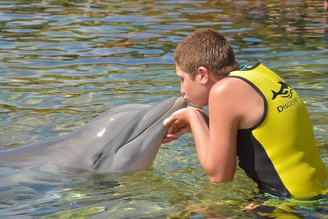 Dolphin Discovery Anguilla
