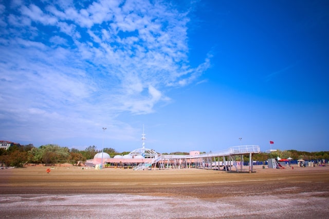 Things To Do In Venice Beach: Alberoni Beach Venice