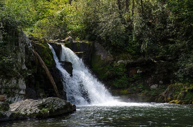 Tamborine National Park