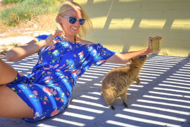 Quokka Selfie Rottnest Island