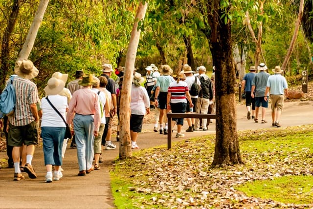 A Walk At The Eco Trails
