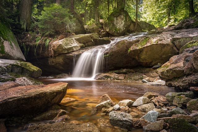 Mayfield Falls Hanover Jamaica