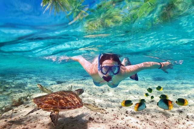 Luquillo Beach Snorkeling