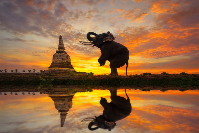 Things To Do In Ayutthaya Tour Thailand