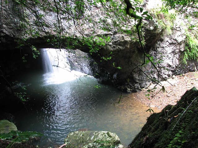 Springbrook National Park Tour