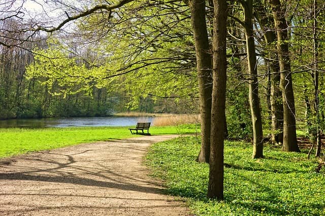 Salisbury Woodland Gardens, Blackpool