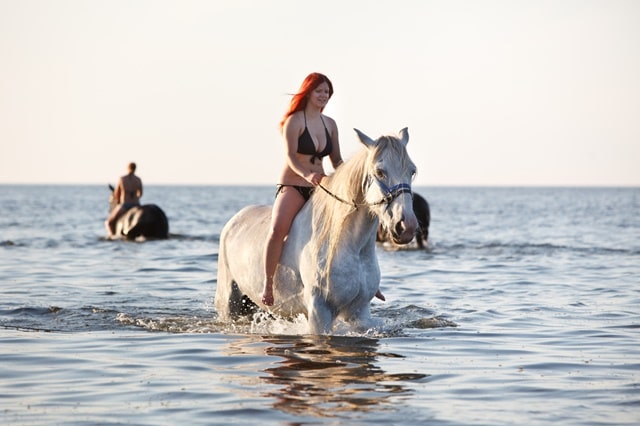 Chukka Horseback Ride And Swim Jamaica