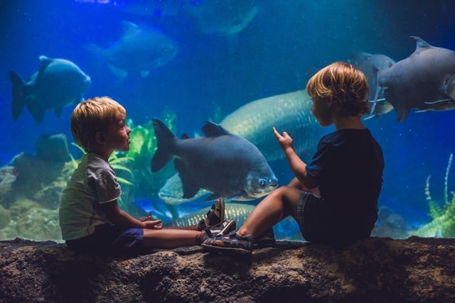 Sea Life Blackpool England