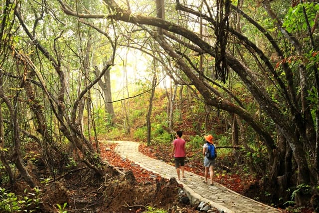 Mount Harriet National Park Trekking Andaman