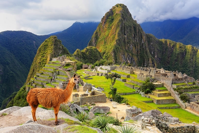 Machu Picchu Peru: 7 Wonders Of The World