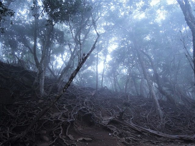 Devil's Kitchen Kodaikanal