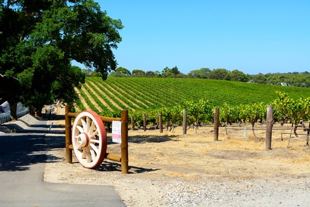 South Australian Wine Growing Region Valley