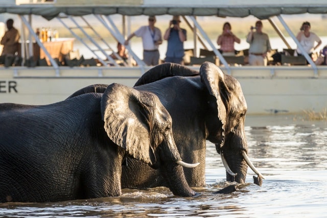 Yala National Park Entrance Fee