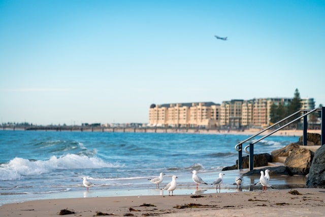 Adelaide attractions: Adelaide Beaches