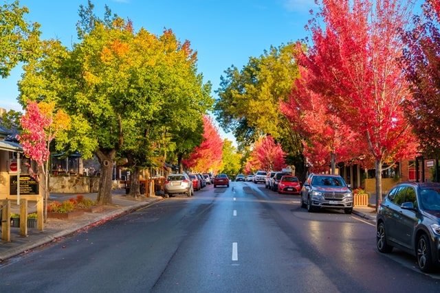 Hahndorf Town