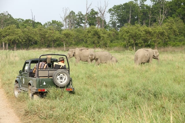 Zones Inside The Jim Corbett National Park Dhikala Zone Of Jim Corbett Jungle