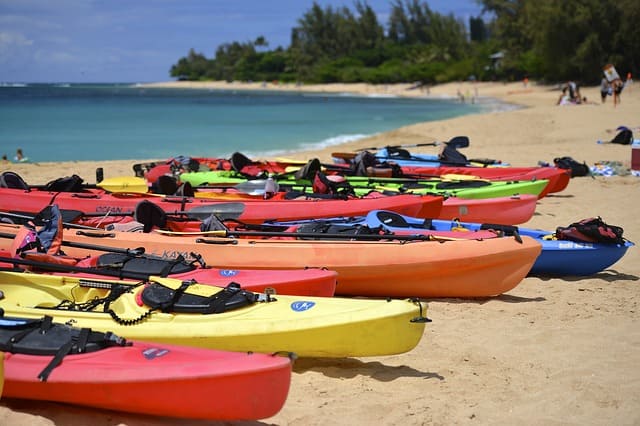 Adventurous Things To Do Near Basilica Of Bom Jesus Kayaking Tours