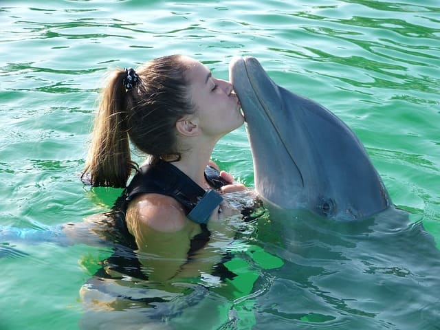 Gulfarium Marine Adventure Park Destin Florida