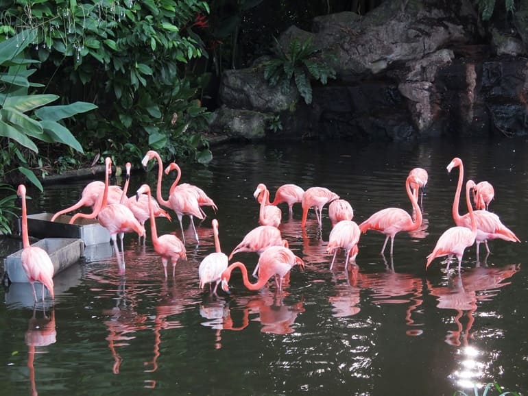 What To Do In Singapore On A Three-Day Trip?